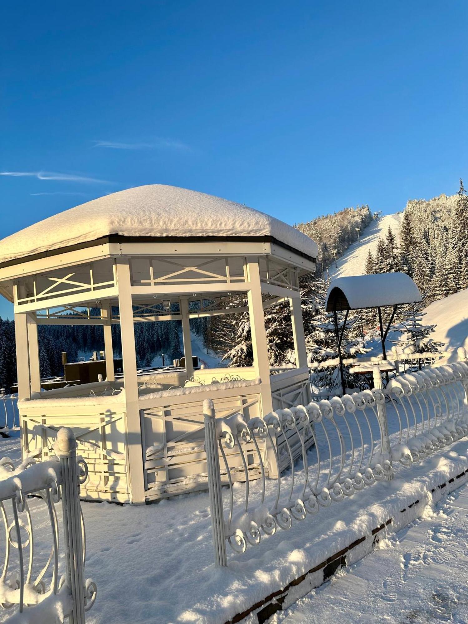 Chevalier Hotel & Spa Bukovel Eksteriør billede